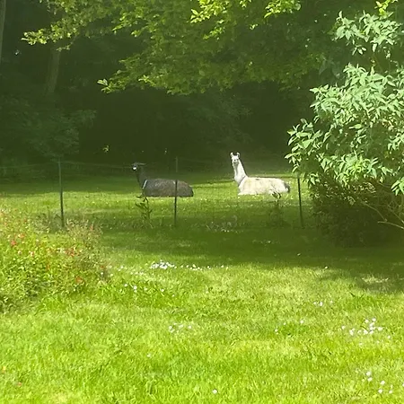 Chateau De Grandval - Sainte Mere Eglise 3*