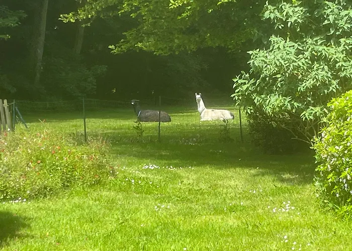 Chateau De Grandval - Sainte Mere Eglise 3*